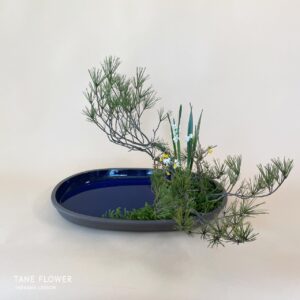 ikebana