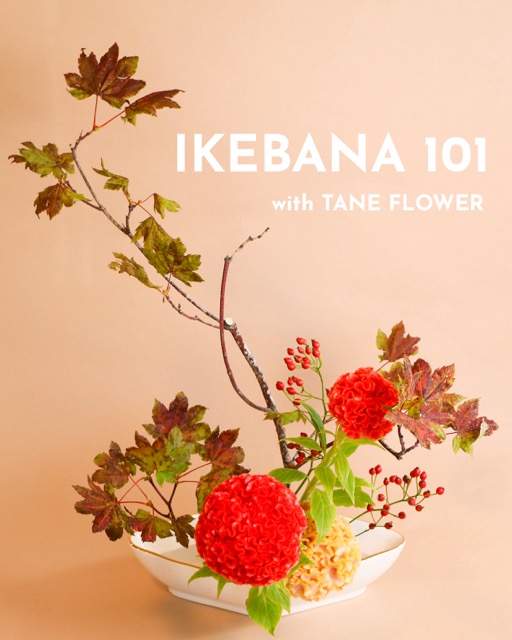 ikebana