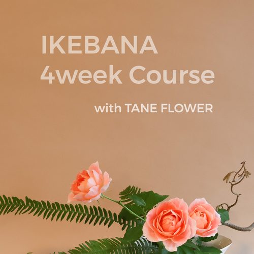 BC4504F9-97BD-4B1A-AD49-6C83827C97F7 Ikebana 4week Course | 2026 September