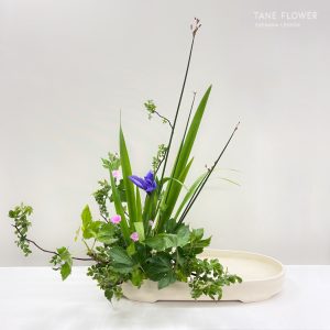 ikebana