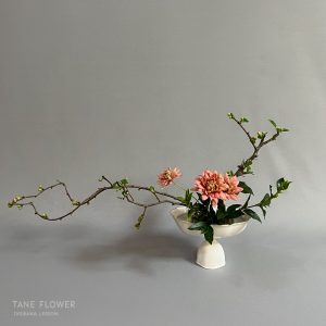 ikebana