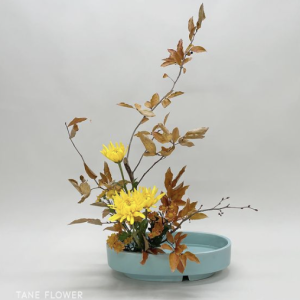 ikebana